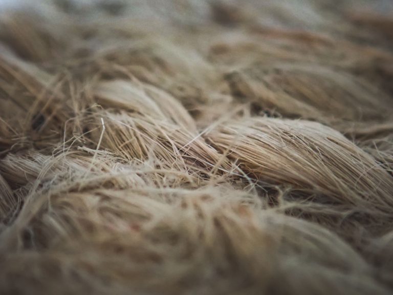 Gros plan texturé de fibres de lin brutes